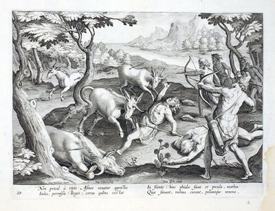 Unicorns on the banks of the Indus, hunted by permission of the King, illustration from 